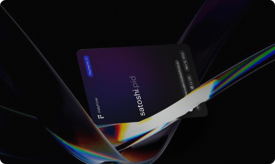 Payment IDs